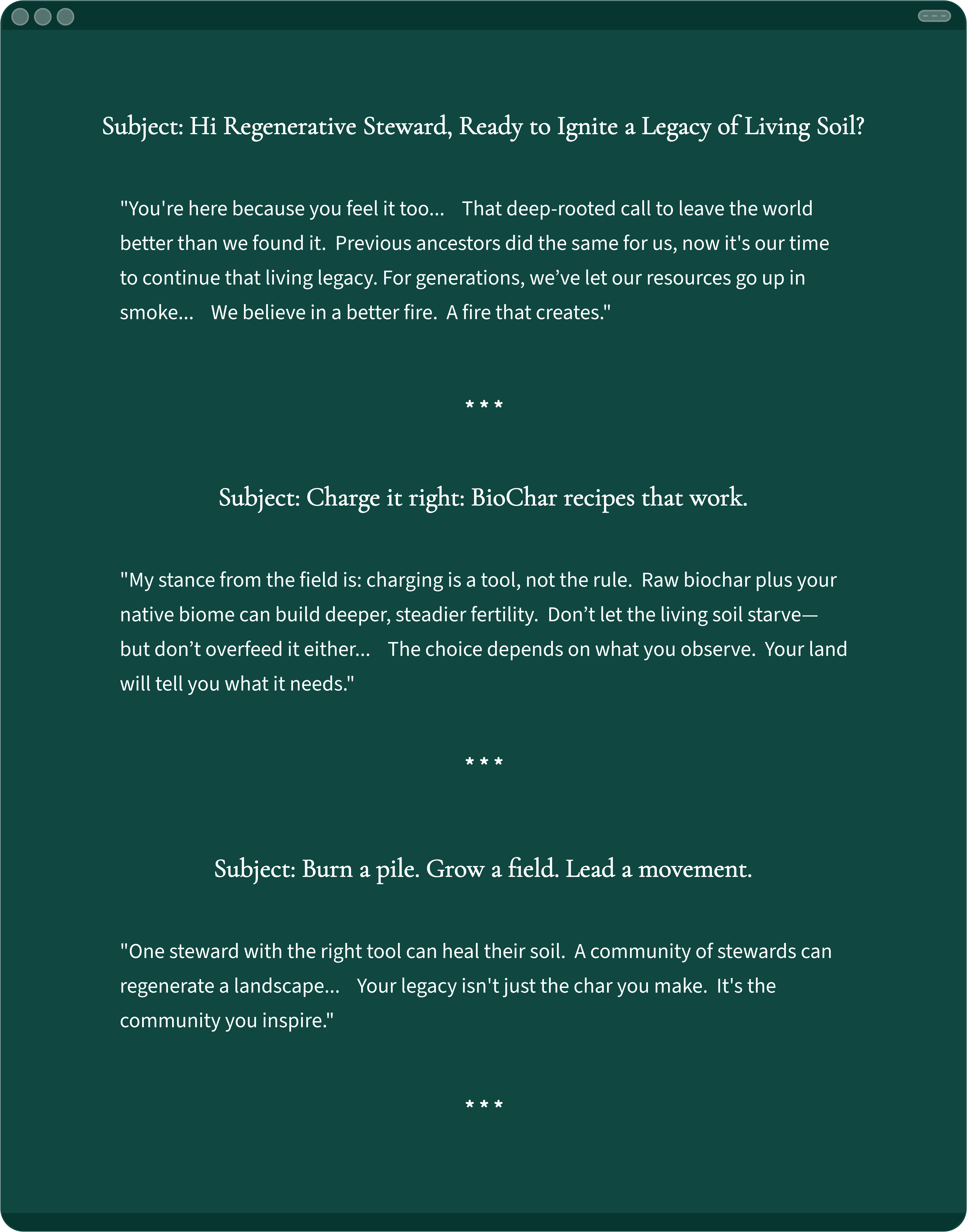 An Email Campaign Snapshot Example