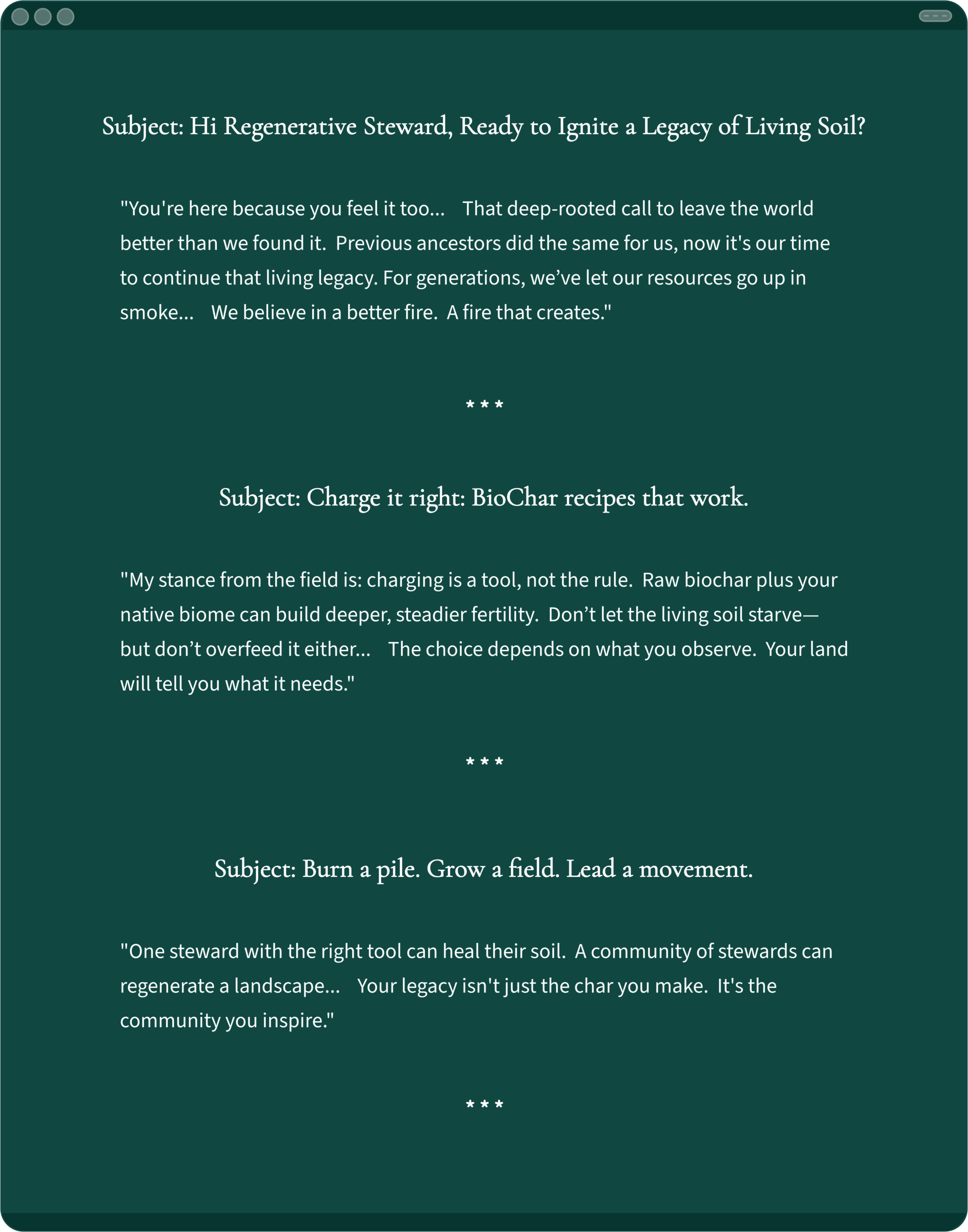 An Email Campaign Snapshot Example